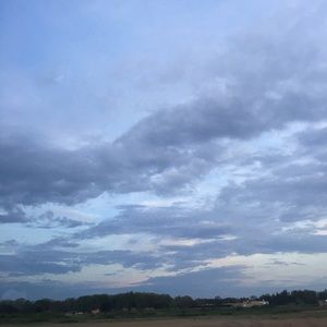 Meet your Posher, Bridget